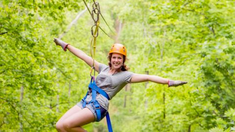 Discount Tickets when you vacation with Smoky Mountain Escapes in Sevierville, Pigeon Forge and Gatlinburg