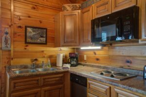 The LIttle River Cabin in Pigeon Forge Vacation Rental in the Smokies