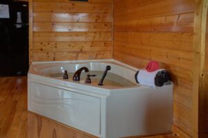 The LIttle River Cabin in Pigeon Forge Vacation Rental in the Smokies