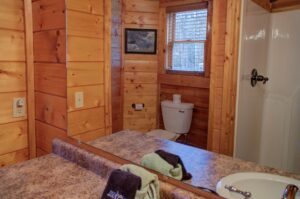The LIttle River Cabin in Pigeon Forge Vacation Rental in the Smokies
